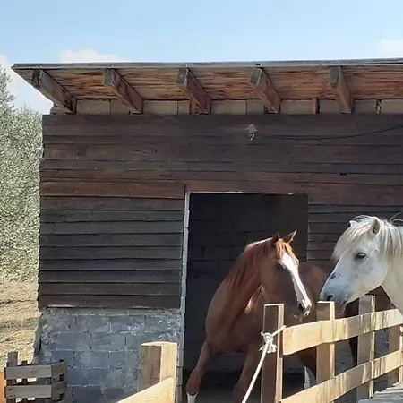 Parko Naturale Σπίτι διακοπών Kallithea (Euboea)